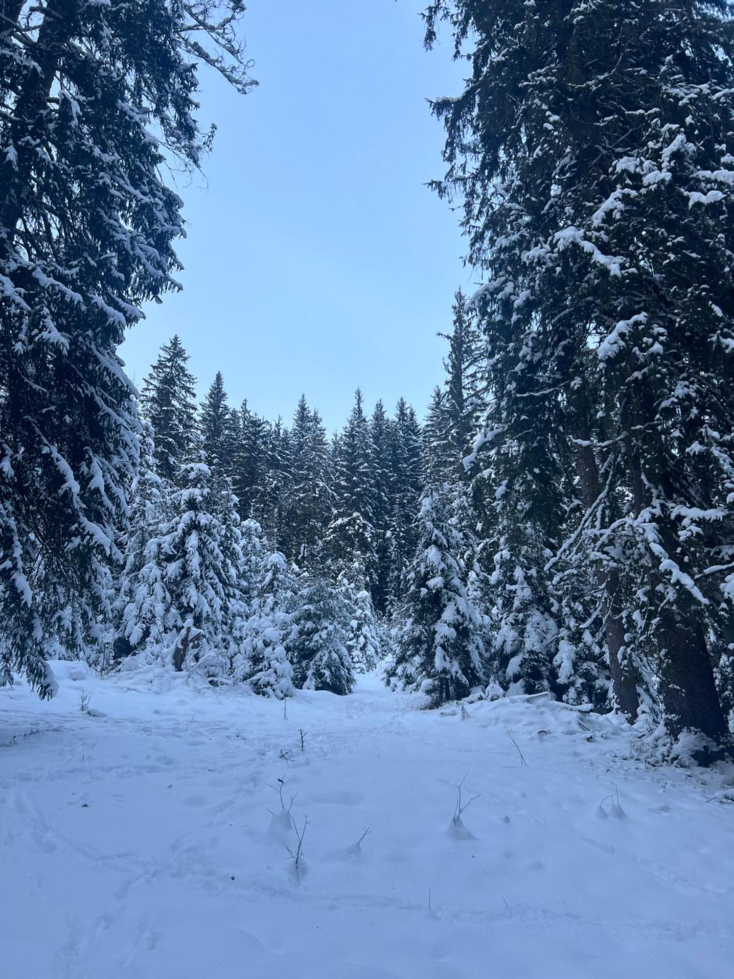 Hotel Aura Karpat Bukovel Esterno foto
